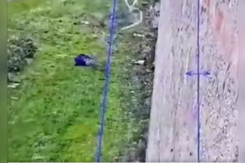 video mafioso italiano escapo de carcel de alta seguridad usando cuerda de sabanas.jpeg
