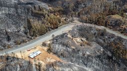Incendios forestales en la región de Biobío.&nbsp;