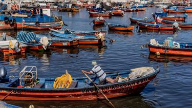 VIDEO | Grau explica cómo aumenta la cuota artesanal e industrial licitada en nueva ley de pesca