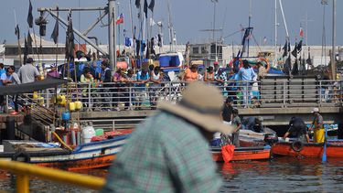 El Desconcierto | pesca.jpg