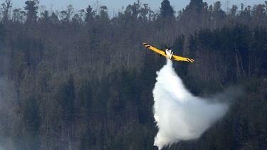 Nueva ola de calor en zona central hace aumentar peligro de incendios forestales