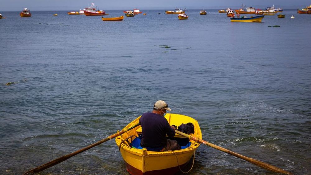 De Puerto Montt a Cañete: Índice muestra las comunas costeras con más dificultades para la pesca