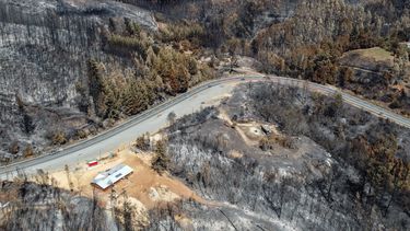 Incendios forestales en la región de Biobío.&nbsp;