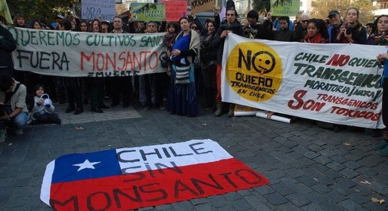 chile monsanto 735x400 1.jpg
