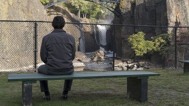 El Desconcierto | paterson.jpg