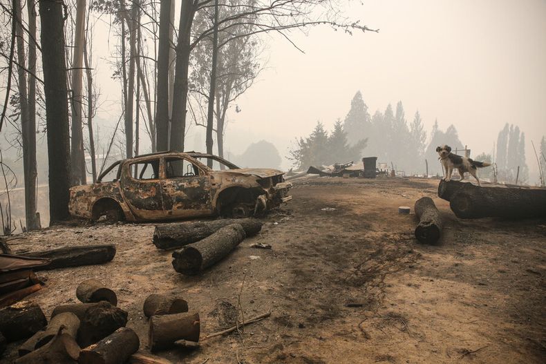 diputados udi impulsan comision investigadora por gestion del gobierno en incendios.jpg
