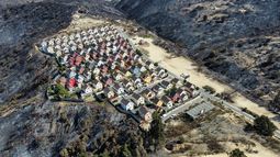 Incendios forestales en Viña del Mar: Bomberos da por superada la emergencia