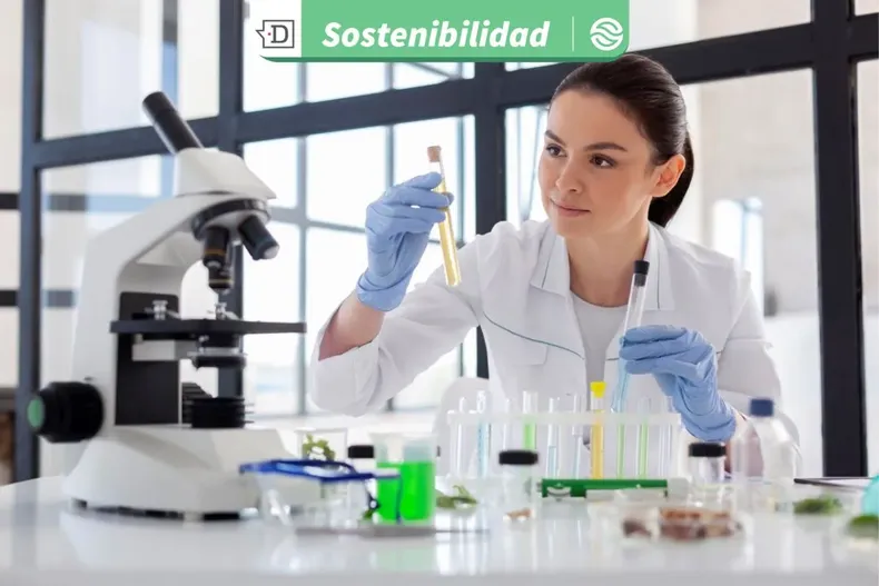 30975 diseno sin titulo 2026 03 09t155013.webp