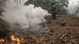 VIDEO| Declaran Alerta Amarilla por incendio de comportamiento extremo en Melipilla
