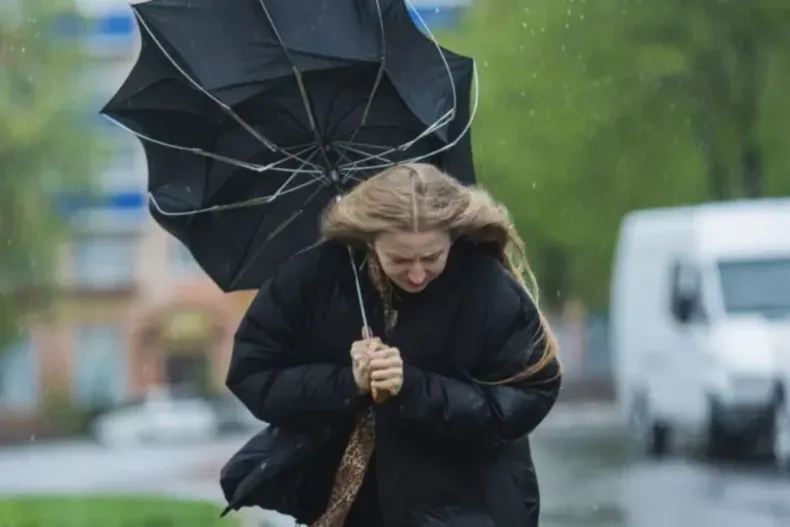 20909 diseno sin titulo 91 1.webp