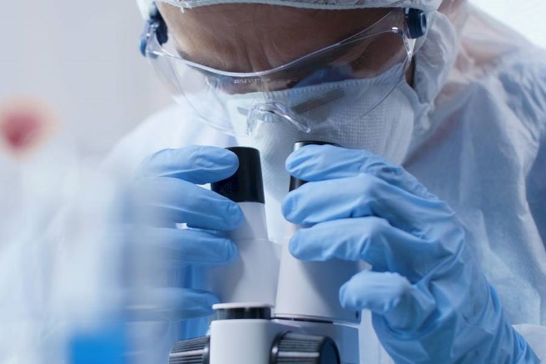 Viruela del mono 1.jpg