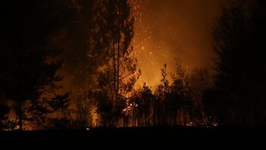Imagen de uno de los incendios forestales en el sur de Chile de noche / Agencia Uno