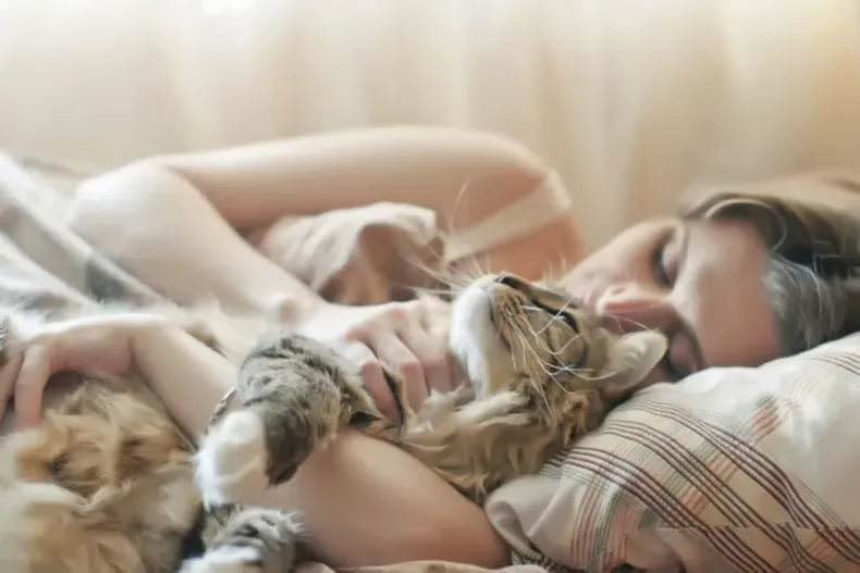 23862 schlafen mit katzen 768x510 1.webp