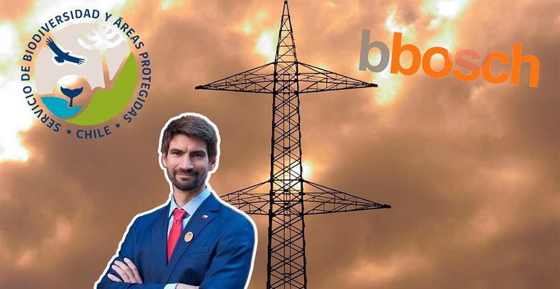 Tomás Saratcheff, director nacional del Servicio de Biodiversidad y Áreas Protegidas&nbsp;