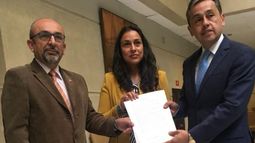 Con RUT incluido: Bancada RN presenta proyecto para que se reconozca al niño en gestación