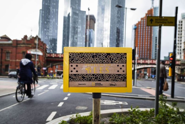 Diseño sin título - 2026-04-13T163913.811