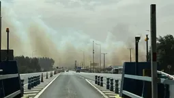 Reportan corte en Ruta 5 Sur tras potente incendio forestal sin control en el Biobío: Alerta Roja para Mulchén
