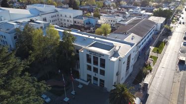 Municipalidad indemnizará con $400 millones a familia de joven fallecido aplastado por olmo