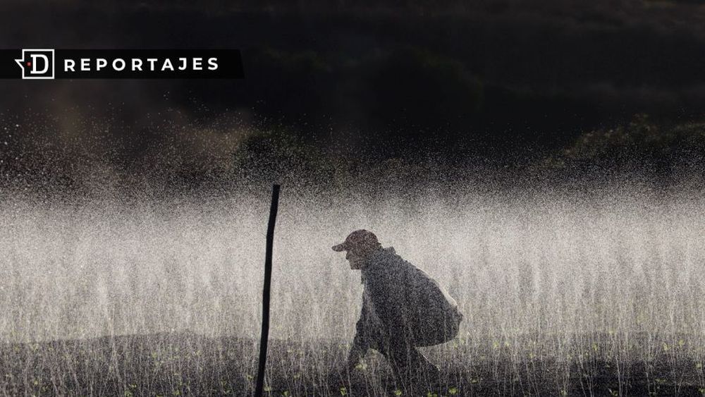 CNR en el ojo de Contraloría: facturas rebajadas y más de $2.000 millones objetados