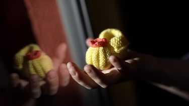Confirman fallecimiento del bebé de 9 meses que fue herido por bala perdida en La Pintana