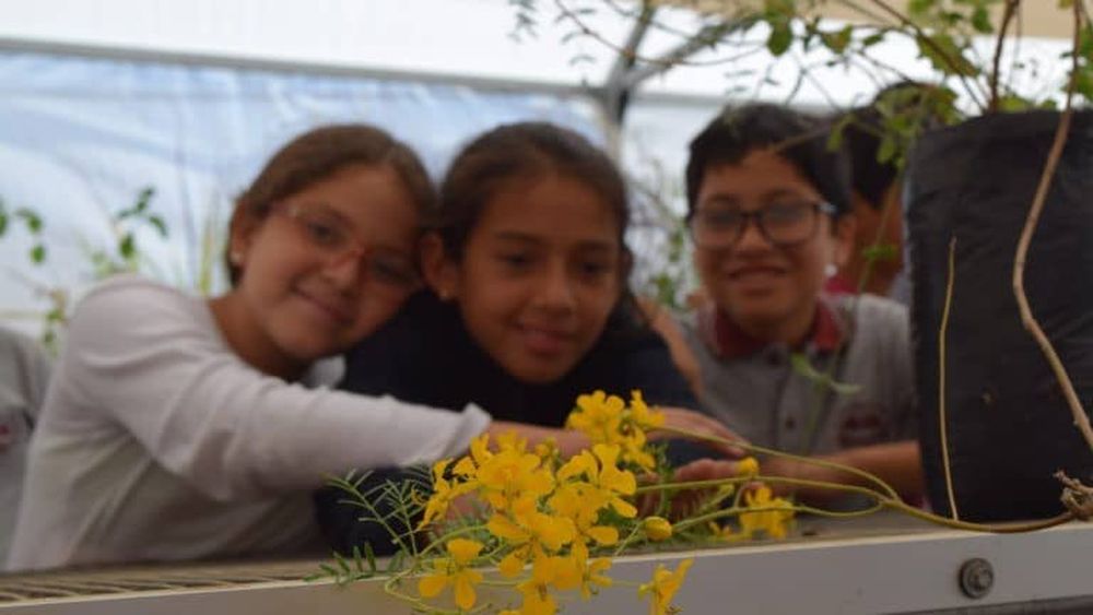 ¿Es posible salvar la flora y fauna de Latinoamérica? 262 proyectos que lo están logrando