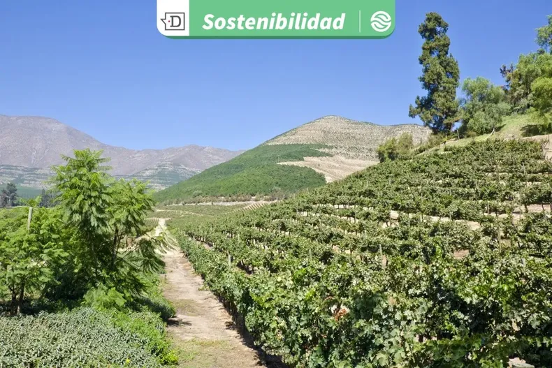 22965 diseno sin titulo 2025 09 23t100412.webp