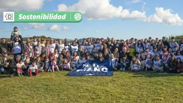 Plantan 4.000 árboles con el objetivo de reforestar el bosque nativo de Chiloé: Finaliza exitoso Festival Pala en Mano