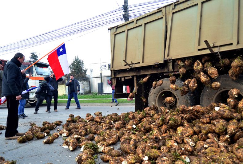Se desata la crisis de la remolacha en Chile - Agencia Uno