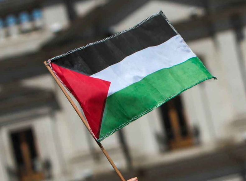19663 bandera palestina.jpg