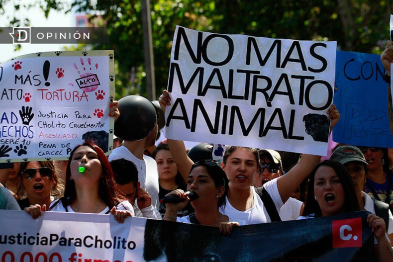 Constitucion del rodeo e1702482462568.png