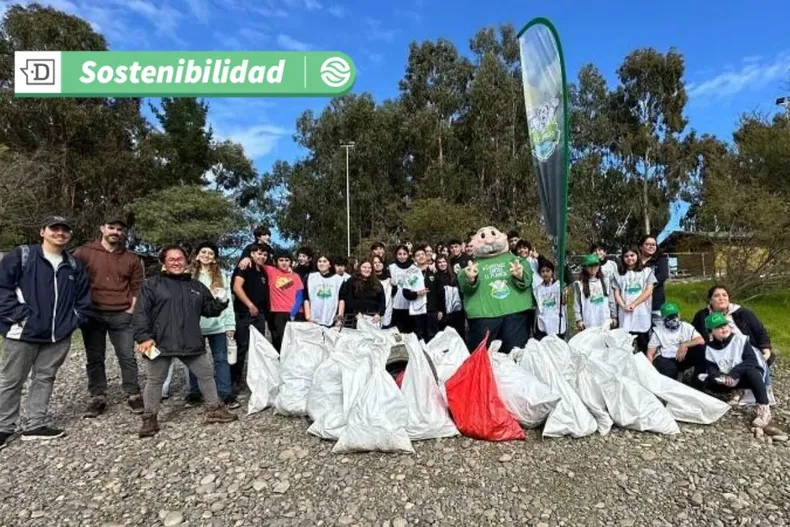 17996 diseno sin titulo 2025 06 24t171036.webp