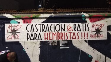 El Desconcierto | msp.jpg