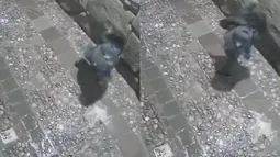 La piedra más famosa de los Incas por sus 12 ángulos es dañada por desconocido en el Cuzco: Fue grabado