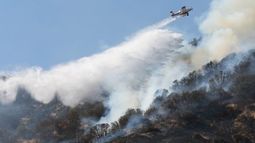 ¿Royalty forestal? Abogado y ex ministro opinan que nada impide aplicar un impuesto