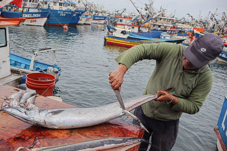 19866 pescadores artesanales.jpg