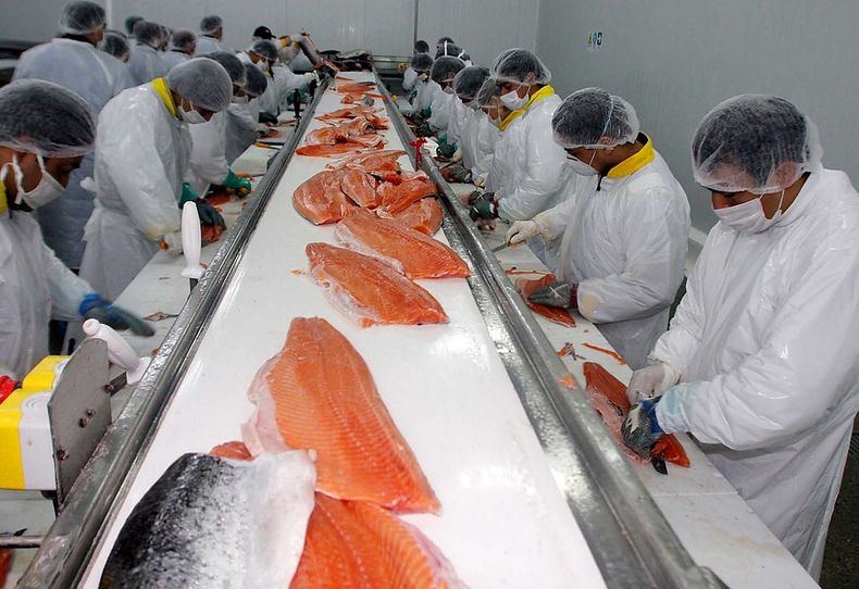 3270 industria salmon.jpg
