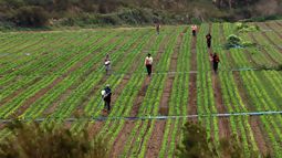 Desempleo en Chile sigue a la baja y se ubica en 8,7% en el trimestre mayo-julio