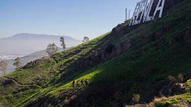 Renca y Chena: Proyectos buscan regenerar las condiciones naturales de cerros isla en Santiago
