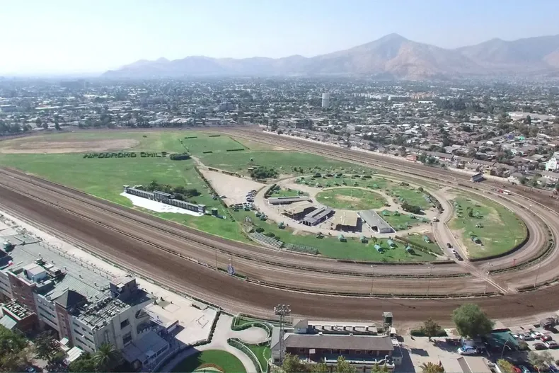 17211 diseno sin titulo 19 1.webp