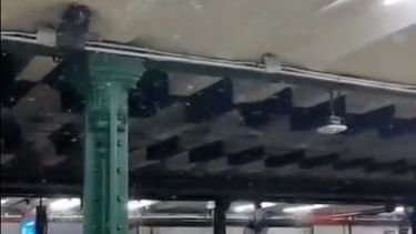 VIDEO| Indeseable plaga obligó a cerrar el metro de Buenos Aires