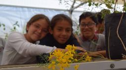 Chile y Uruguay lanzan la Guía de Educación Ambiental por crisis climática