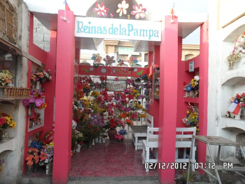 reinas pampa.jpg