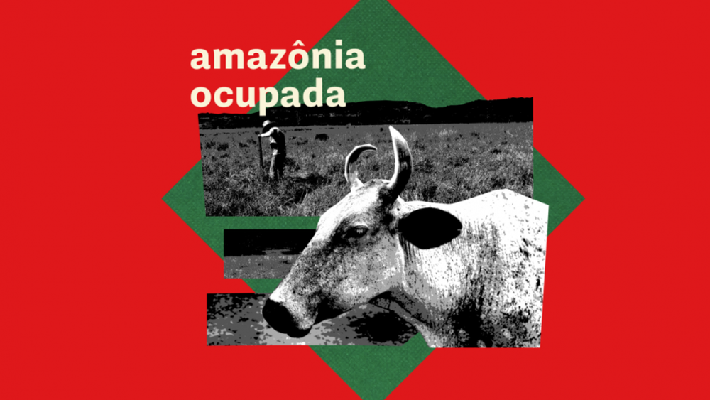 La ganadería, la principal causa de deforestación de la Amazonía