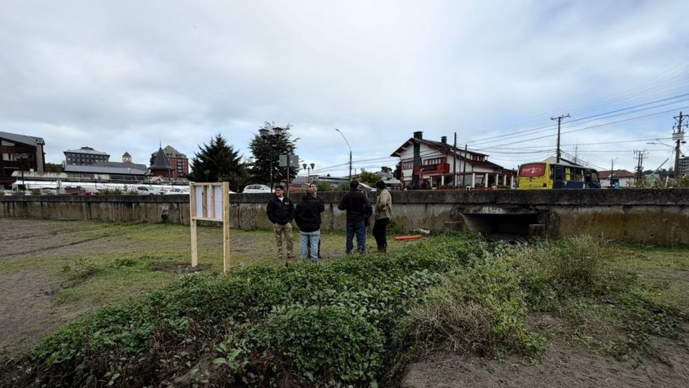 Puerto Varas impulsa humedal depurador para tratar contaminación en Lago Llanquihue y mejorar calidad del agua
