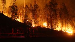Incendios forestales: Onemi mantiene Alerta Temprana Preventiva en RM y detalla siniestros