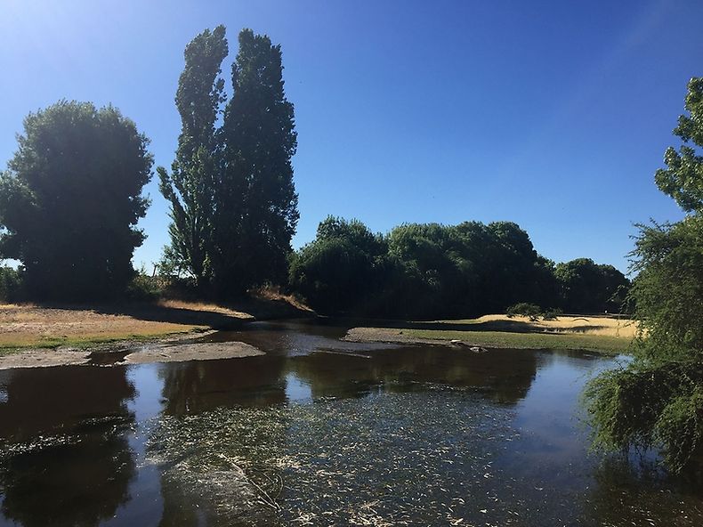 rio cauquenes.jpeg