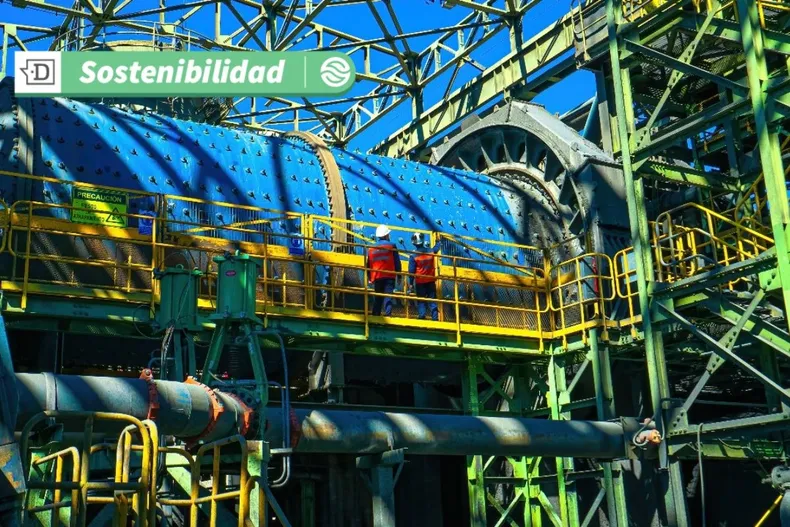 17775 diseno sin titulo 2025 06 19t173746.webp