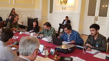 Brigada Ramona Parra expone ante Comisión de Cultura y rechaza proyecto que regula el arte gráfico callejero