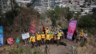 Minvu inicia campaña de reforestación en el cerro San Cristóbal con donación de 5 mil árboles de la Papelera Matte