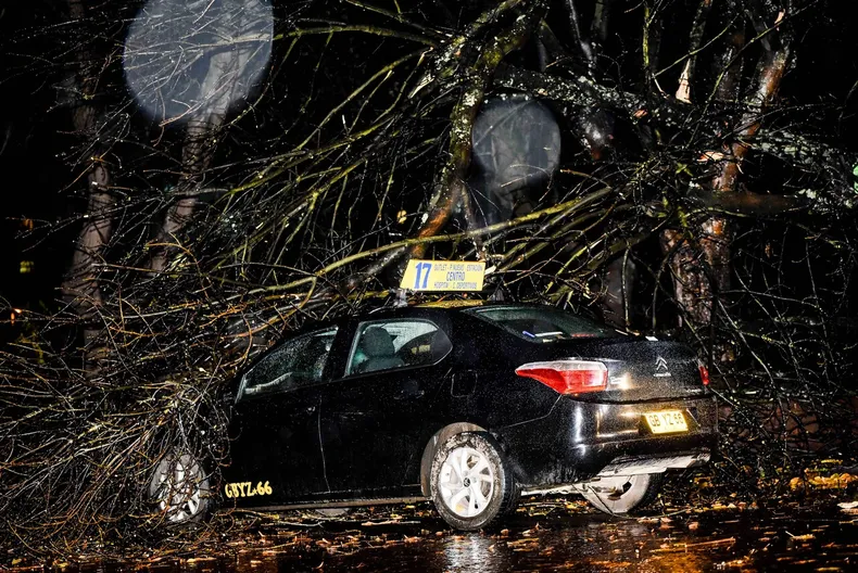 17299 a uno 1190694.webp